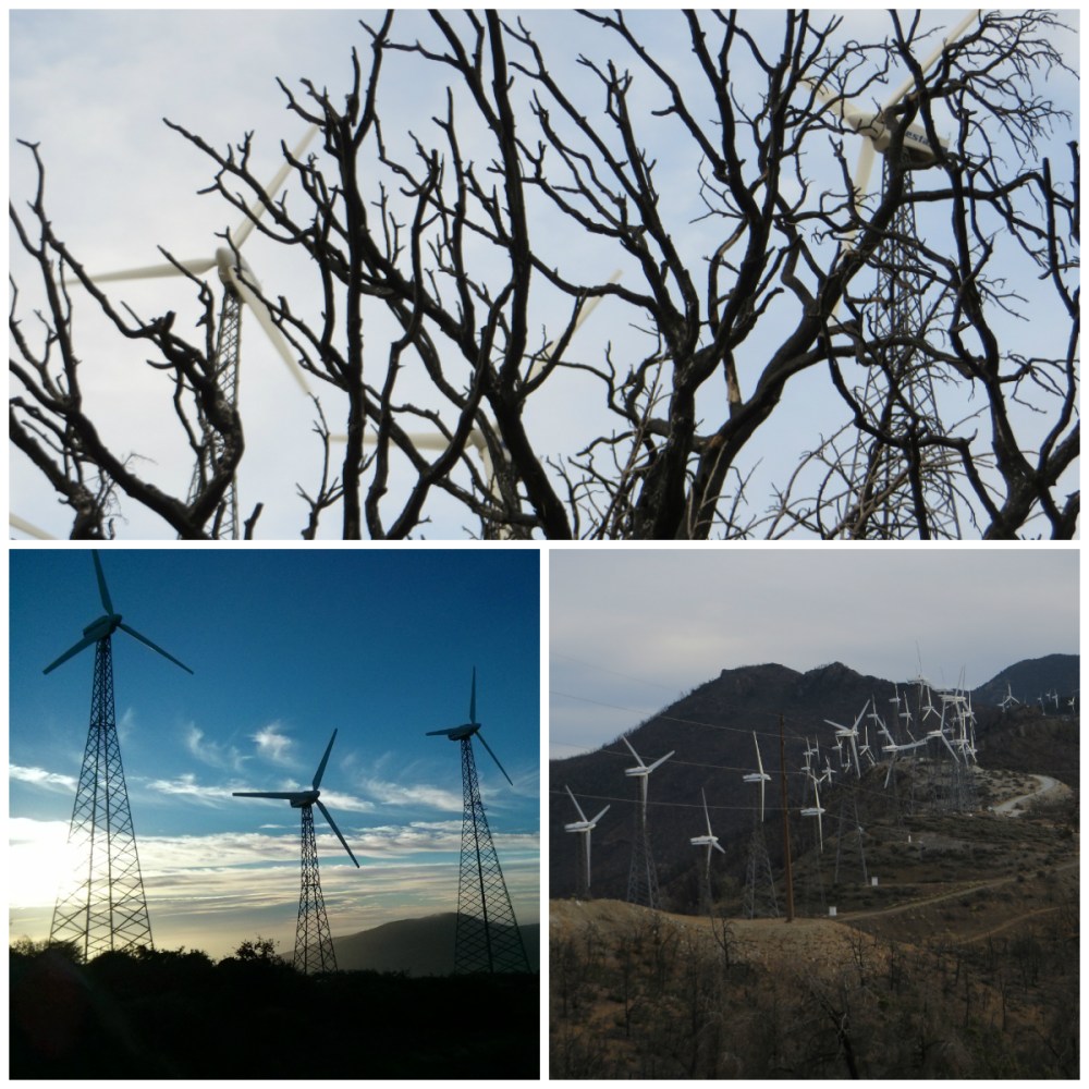 collage_windmills